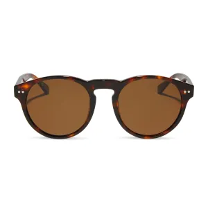 CODY - RICH TORTOISE   BROWN   POLARIZED SUNGLASSES