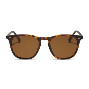 MAXWELL XL - MATTE RICH TORTOISE   BROWN   POLARIZED SUNGLASSES