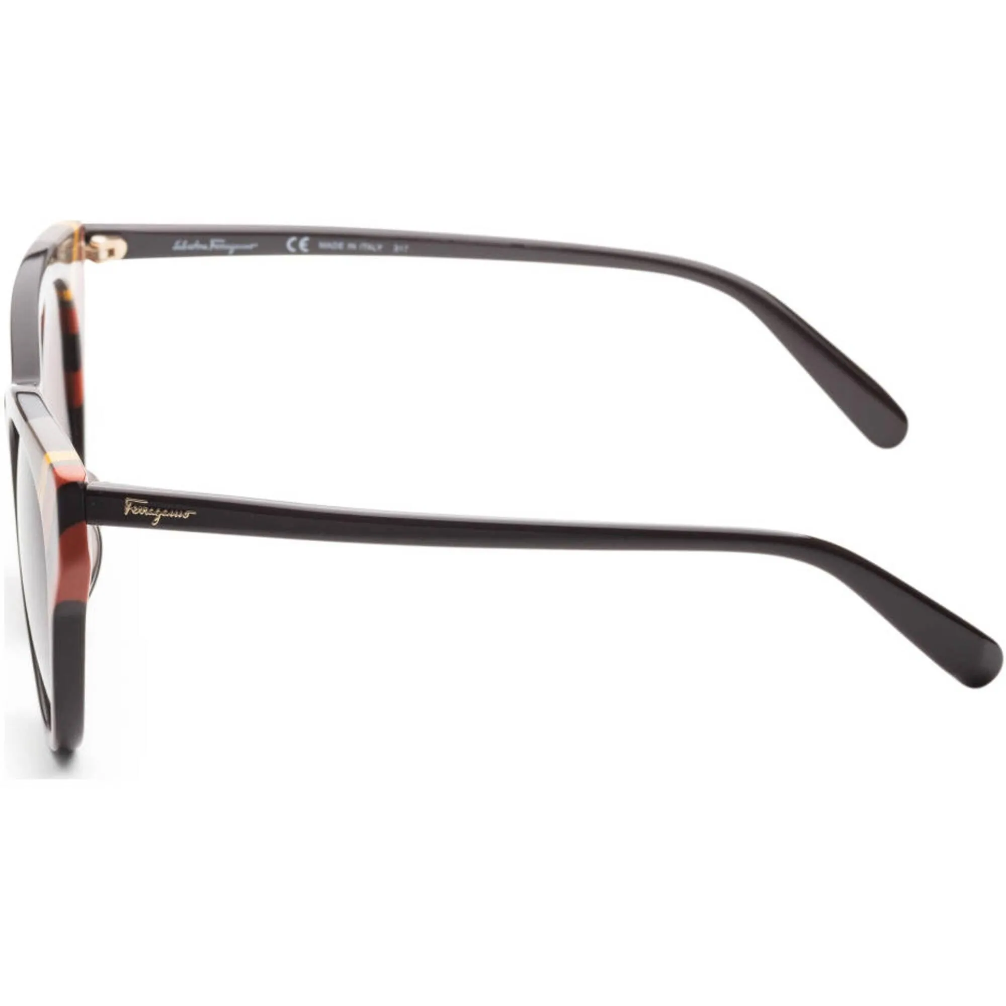 Salvatore Ferragamo Women's Sunglasses - Dark Brown | SALVATORE FERRAGAMO 883SA 208